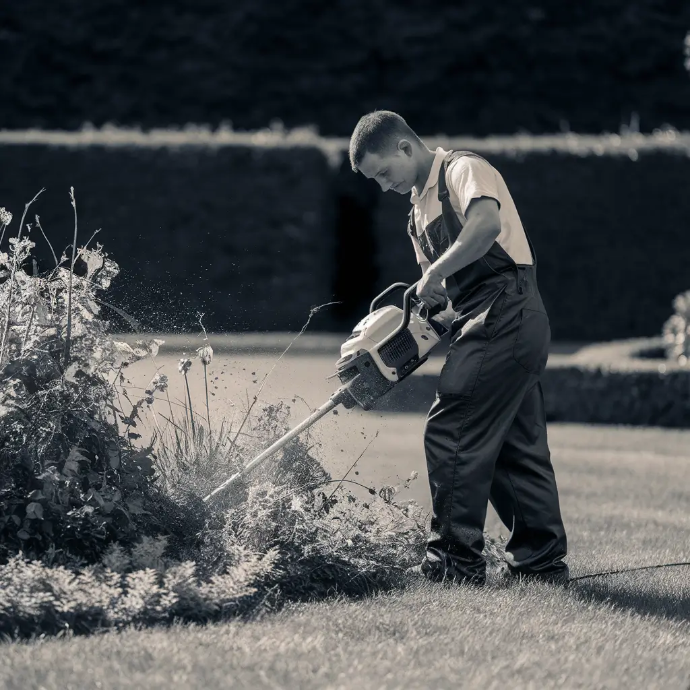 Weed Eater Service Wellington